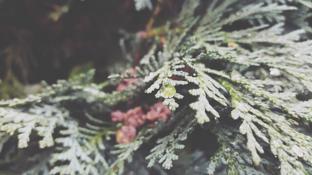 精辟简短的早安正能量一句话