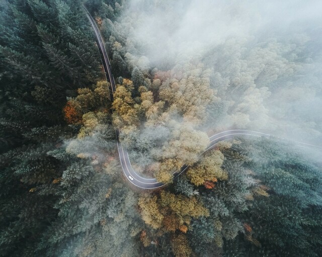 祝自己生日简单一句话 生日快乐的说说 岁月是一场有去无回的