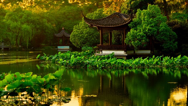 情人节段子集合5篇 情人节段子